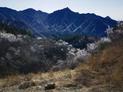 -妙峰山风景名胜区