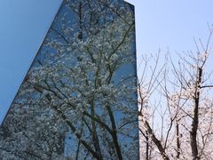-龙美术馆(西岸馆)