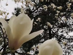 -同济大学(嘉定校区)