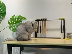 -Oasis绿洲银饰珍珠手作diy(壹方城店)