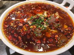 -庆合府重庆大排档(紫都城店)