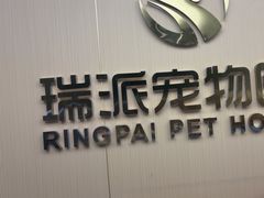 -瑞派康怡24h宠物医院·犬猫医疗中心·微创绝育(瑞景分院)
