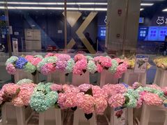 -盒马X会员店(上海森兰商都店)