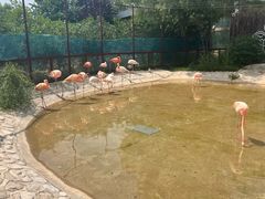 -齐齐哈尔龙沙动植物园