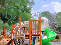 -成都泰迪熊博物馆