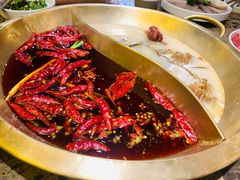 鸳鸯锅-小龙坎火锅(全球总店)
