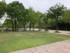 -新江湾城公园