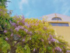 -山东大学(威海校区)