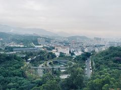 -福道
