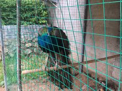 -柞水乾佑红门家菜