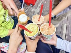 -黄海国家森林公园