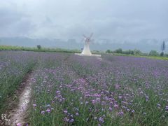 -臻品足道(后湖店)