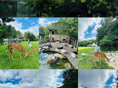 -银树楼(紫玉山庄东区店)