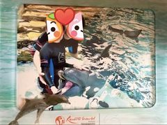 -新加坡水上探险乐园