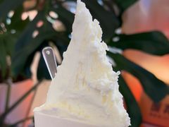 -野人先生现做冰淇淋(北京王府井东方新天地店)
