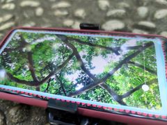 -广西壮族自治区药用植物园