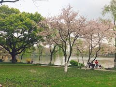 -苏堤停车场