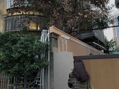 -溪岸路花鸟市场