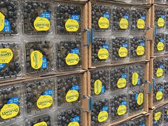 -西郊国际农产品交易中心