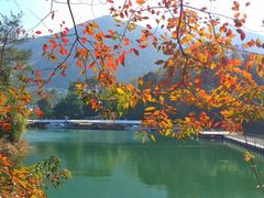 -广州市流溪河国家森林公园