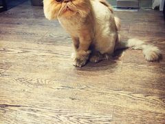 -小时光咖啡馆(开森度假森林店)