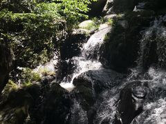 -藏龙百瀑风景区