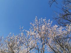 -食悦江南·淮扬菜·烤鸭(亚运村·惠新店)