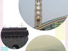 -南山植物园