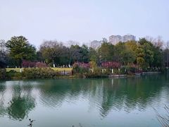 -三垟湿地