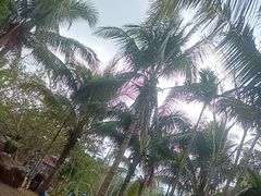 -呀诺达热带雨林