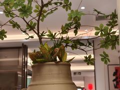 -拾柴熏酱-鲜虾水饺(群力店)