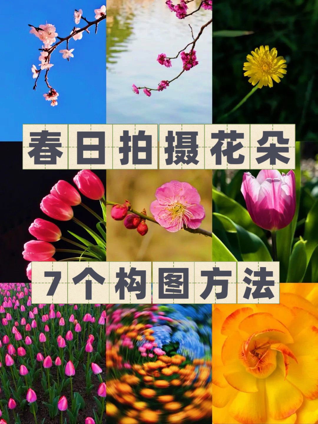 圆形构图摄影教程图片，一分钟就会