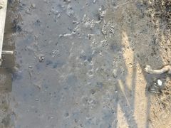 -北海金海湾红树林生态旅游区