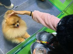 -重庆国际会议展览中心