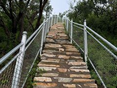 -北京西山国家森林公园