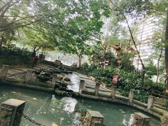 -成都市活水公园