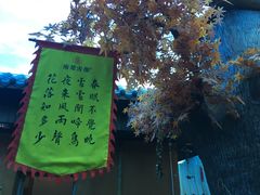 -南楚古都