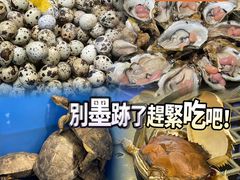 -飞尝蚝·顺德菜·鱼生(顺德总店)