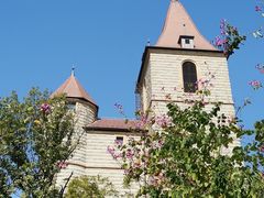 -松山湖南湖湾露营营地