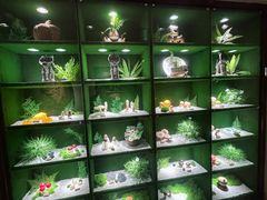 -慢丽江·云南野生菌土鸡锅(西山店)