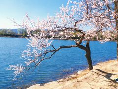 -颐和园-景明楼