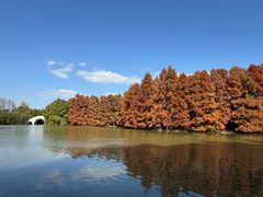 -上海海湾国家森林公园