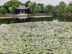 -无锡蠡湖国家湿地公园-蠡园
