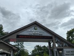 -中国大熊猫保护研究中心雅安碧峰峡基地