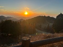 -神户市立六甲山牧场