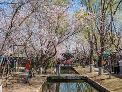 -三里河公园