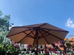 -大隐花事(熊婆婆的花园店)