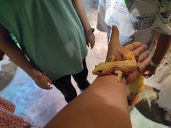 -酷嗒动物文化乐园(cutezoo西溪乐天城店)