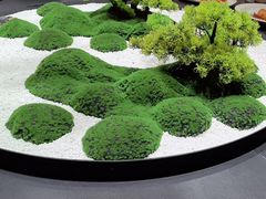 -曼格纳·曼芯馆(杨浦店)