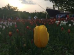 -长春公园(普阳街道)